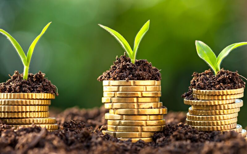 Estratégias para garantir crédito e preservar margem diante da queda de 25% nos desembolsos do Plano Safra 2025/26