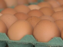 EUA se destacam no mercado de ovos e impulsionam oportunidades de exportação para o Brasil 14 eua se destacam no mercado de ovos e impulsionam oportunidades