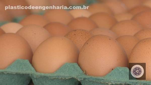 eua se destacam no mercado de ovos e impulsionam oportunidades