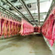 exemplo mundial russia quebra recorde de exportacao de carne suina