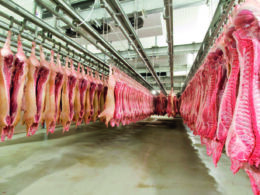 exemplo mundial russia quebra recorde de exportacao de carne suina