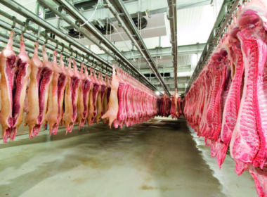 exemplo mundial russia quebra recorde de exportacao de carne suina