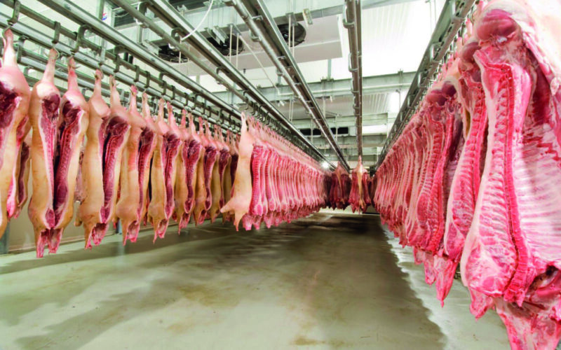 exemplo mundial russia quebra recorde de exportacao de carne suina