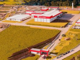 expansao do circuito nelore no nordeste qualidade garantida pela masterboi