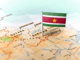 Explosão do Sabor Brasileiro: Como o Frango Nacional Caíu nas Graças do Suriname e Impulsiona o Agronegócio com Novas Oportunidades Comerciais 11 explosao do sabor brasileiro como o frango nacional caiu nas