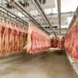 exportacao de carne suina dispara em maio crescimento de 27