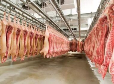 exportacao de carne suina dispara em maio crescimento de 27