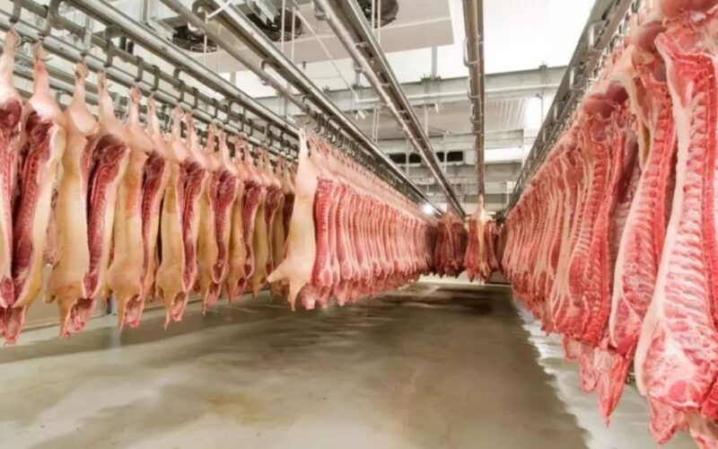 exportacao de carne suina dispara em maio crescimento de 27