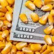 exportacao de milho do brasil cai no semestre e soja