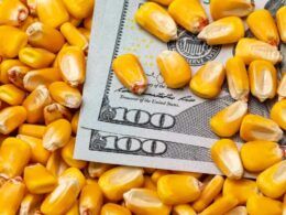 exportacao de milho do brasil cai no semestre e soja