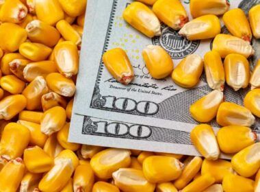 exportacao de milho do brasil cai no semestre e soja
