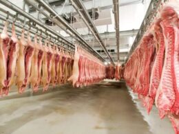 exportacoes de carne alema para ue seguem fortes mesmo com
