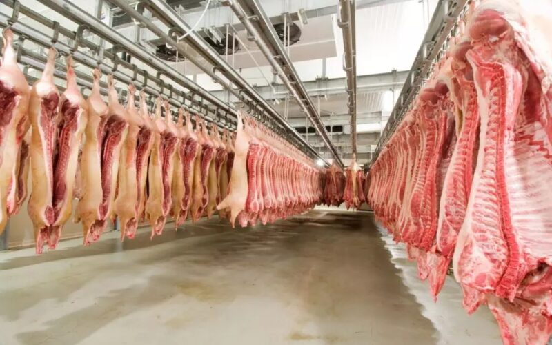 exportacoes de carne alema para ue seguem fortes mesmo com