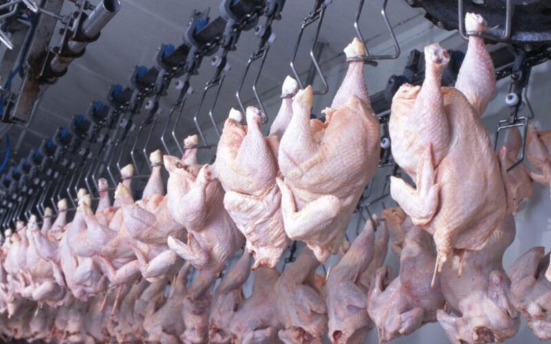 exportacoes de carne de frango continuam a crescer 65 em