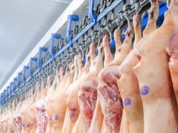 exportacoes de carne suina para a coreia do sul crescem