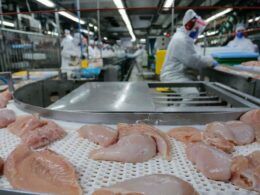 exportacoes de frango ainda abaixo veja os motivos por tras