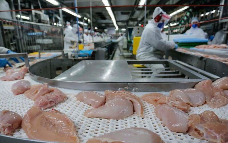 exportacoes de frango ainda abaixo veja os motivos por tras