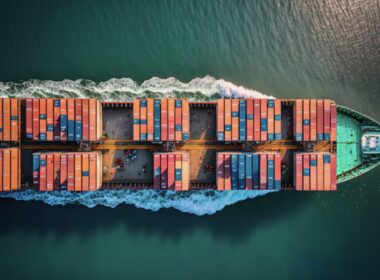 exportacoes de genetica avicola brasileira impulsionam receita recorde em fevereiro
