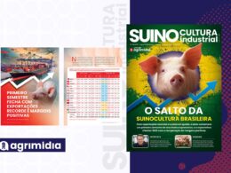 Exportações recordes e margens positivas no 1º semestre elevam a rentabilidade da suinocultura industrial
