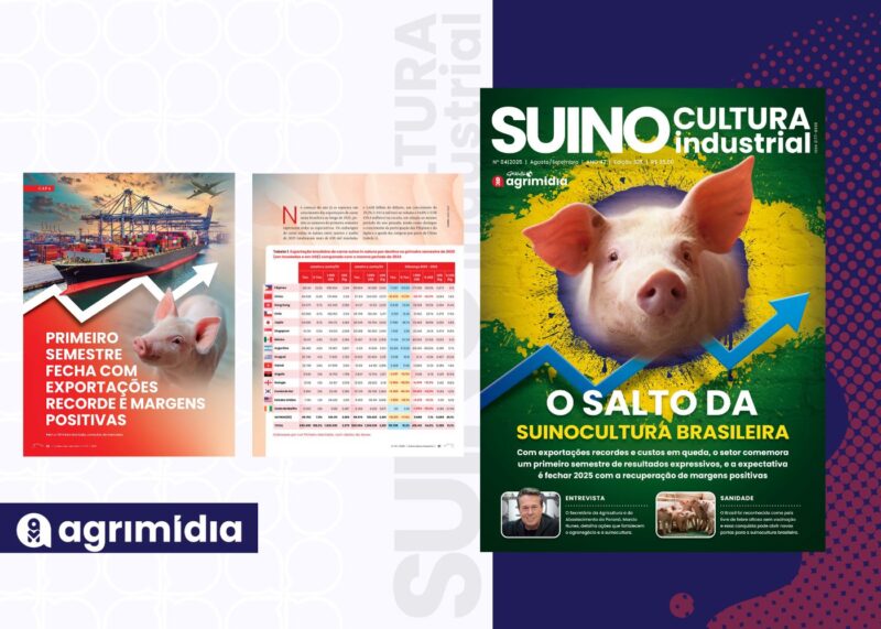 Exportações recordes e margens positivas no 1º semestre elevam a rentabilidade da suinocultura industrial