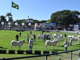 ExpoZebu 2023 conquista público com recorde de inscrições e 100% de ocupação, destacando a excelência da pecuária brasileira