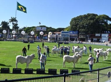 ExpoZebu 2023 conquista público com recorde de inscrições e 100% de ocupação, destacando a excelência da pecuária brasileira