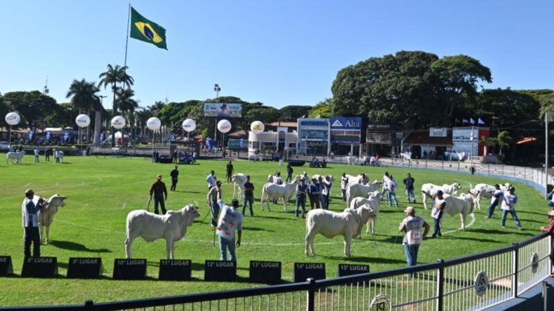 ExpoZebu 2023 conquista público com recorde de inscrições e 100% de ocupação, destacando a excelência da pecuária brasileira