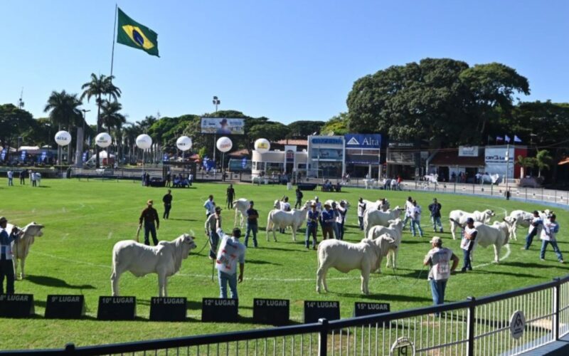 ExpoZebu 2023 conquista público com recorde de inscrições e 100% de ocupação, destacando a excelência da pecuária brasileira