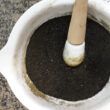 extrato de artemisia annua beneficia imunidade e aumento de peso