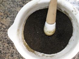 extrato de artemisia annua beneficia imunidade e aumento de peso