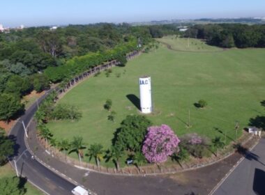 feirao de imoveis agro em sp em 2025 promete oportunidades