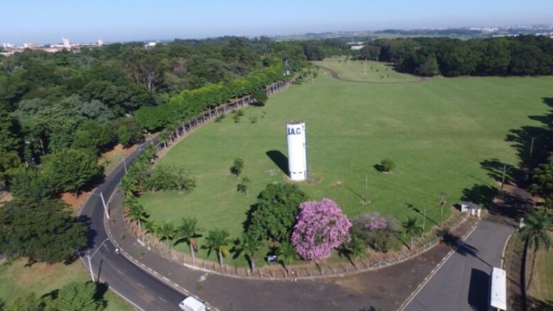 feirao de imoveis agro em sp em 2025 promete oportunidades