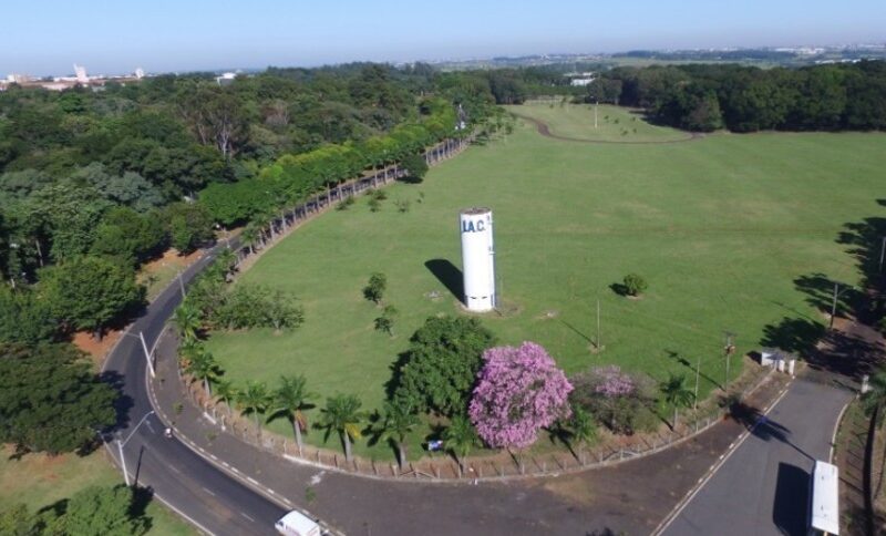 feirao de imoveis agro em sp em 2025 promete oportunidades
