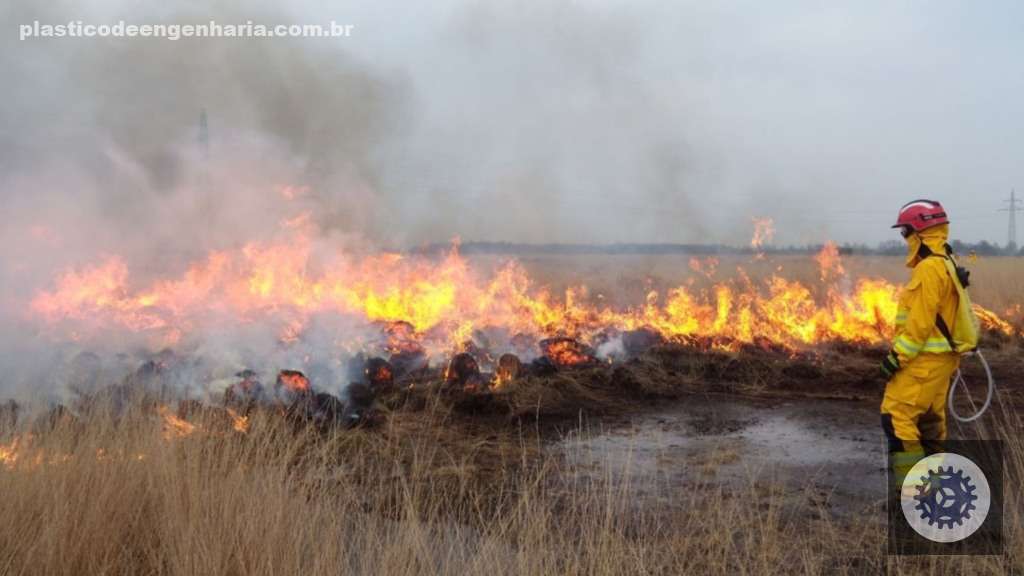 fogo incendio queimada 15.05.2025 3