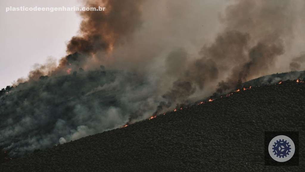 fogo incendio queimada 15.05.2025 6