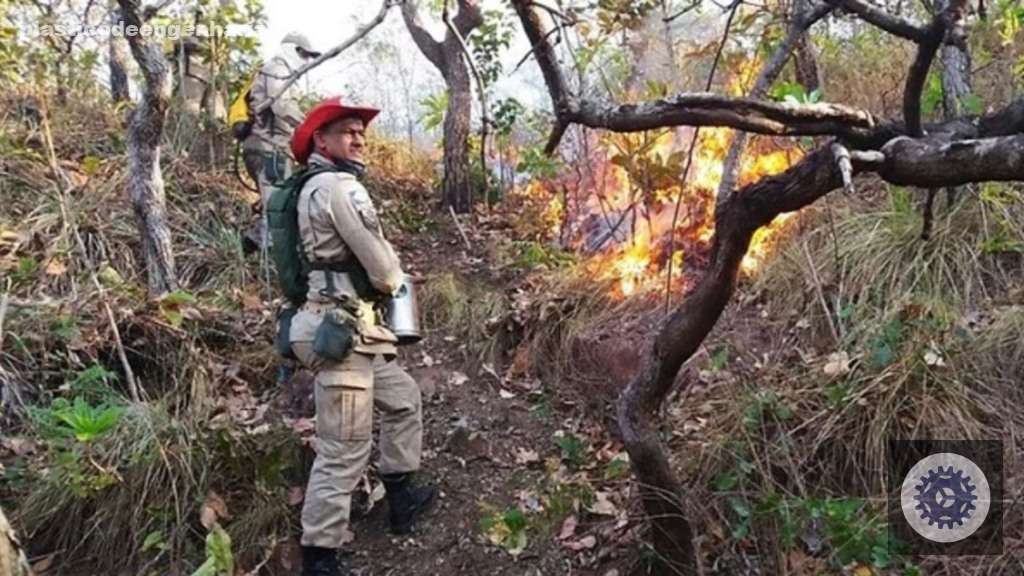 fogo incendio queimada 15.05.2025 9