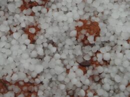 Fortes temporais trazem desafios e oportunidades para a pecuária; descubra como se preparar e proteger sua produção