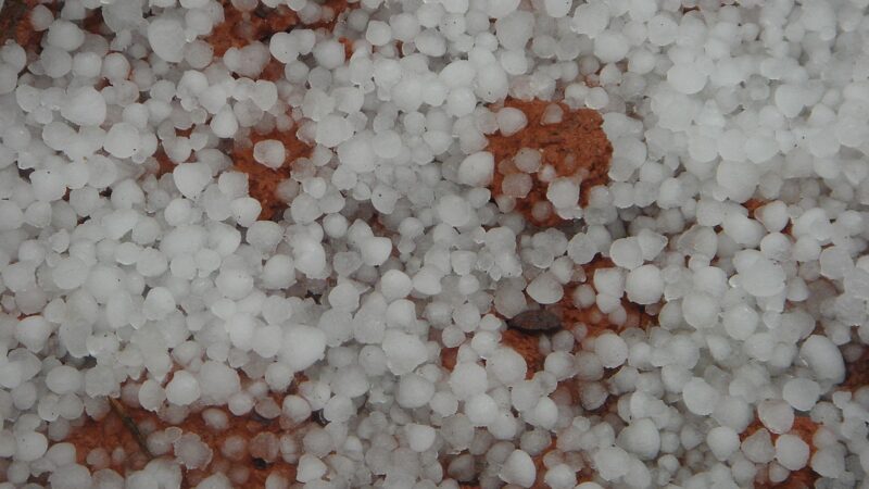 Fortes temporais trazem desafios e oportunidades para a pecuária; descubra como se preparar e proteger sua produção