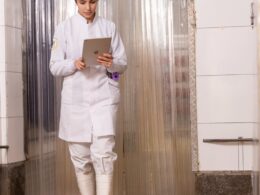 Frango e ovos são considerados seguros, afirma especialista em segurança alimentar 21 frango e ovos sao considerados seguros afirma especialista em seguranca