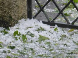 Frente fria traz ventos fortes e risco de granizo: proteja sua pecuária com dicas essenciais de prevenção