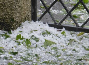 Frente fria traz ventos fortes e risco de granizo: proteja sua pecuária com dicas essenciais de prevenção