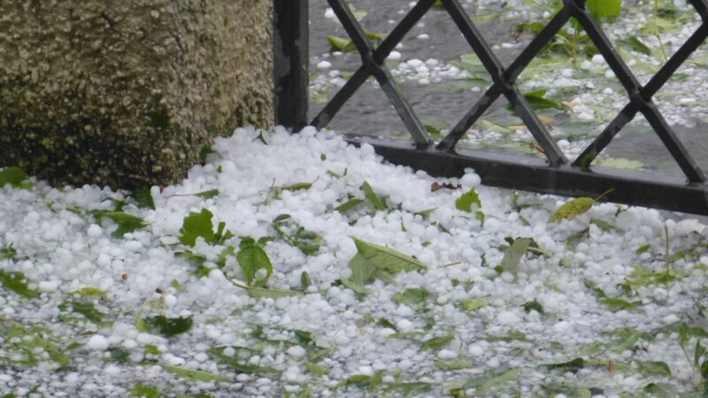 Frente fria traz ventos fortes e risco de granizo: proteja sua pecuária com dicas essenciais de prevenção