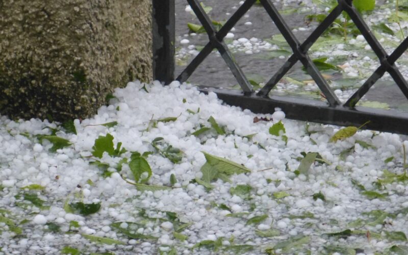 Frente fria traz ventos fortes e risco de granizo: proteja sua pecuária com dicas essenciais de prevenção
