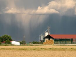 Frentes frias de abril: o que o pecuarista precisa saber para proteger o rebanho e maximizar a produtividade 15 Frentes frias de abril: o que o pecuarista precisa saber para proteger o rebanho e maximizar a produtividade