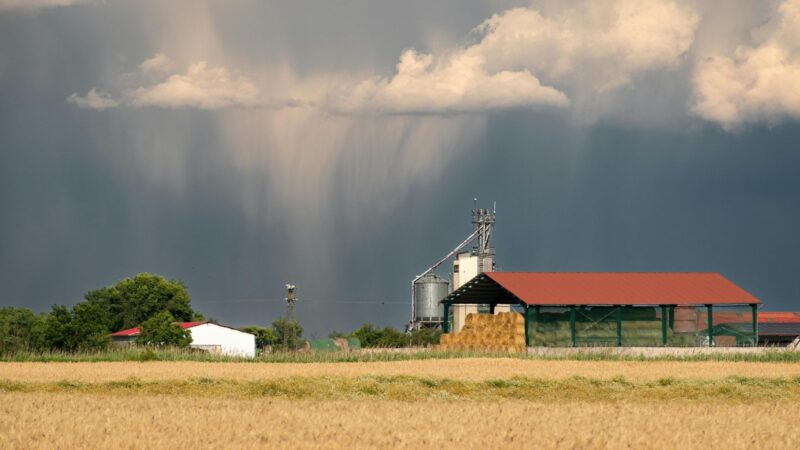 Frentes frias de abril: o que o pecuarista precisa saber para proteger o rebanho e maximizar a produtividade