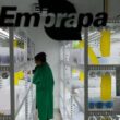 fundo de agricultura sustentavel investe r 300 milhoes para impulsionar
