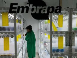 fundo de agricultura sustentavel investe r 300 milhoes para impulsionar