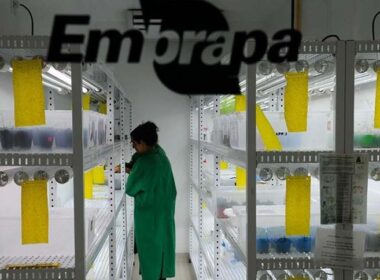 fundo de agricultura sustentavel investe r 300 milhoes para impulsionar
