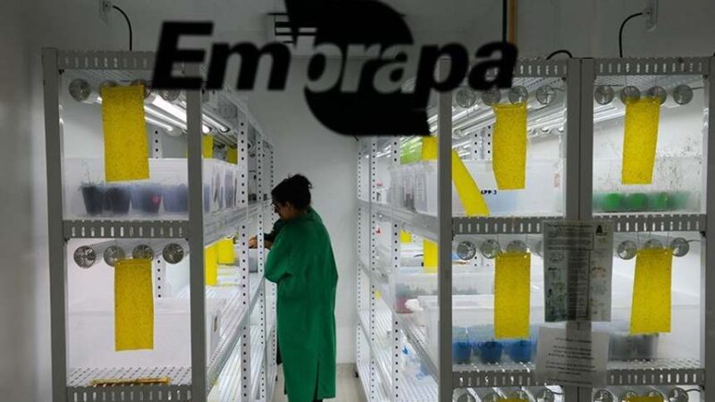 fundo de agricultura sustentavel investe r 300 milhoes para impulsionar