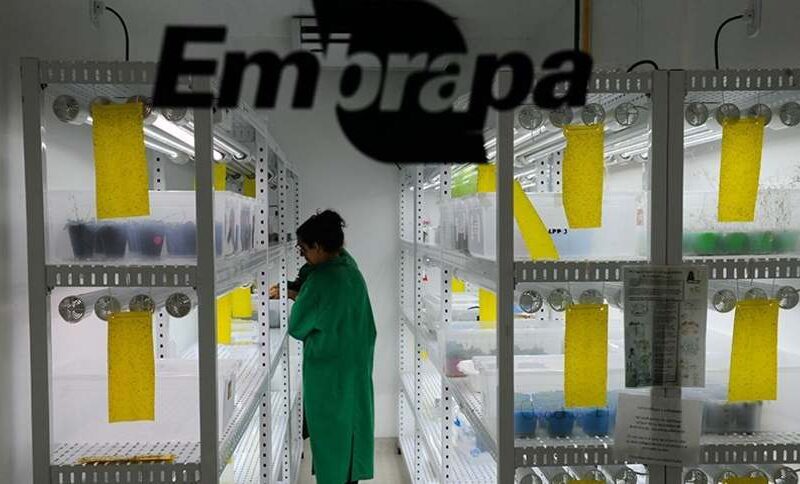 fundo de agricultura sustentavel investe r 300 milhoes para impulsionar